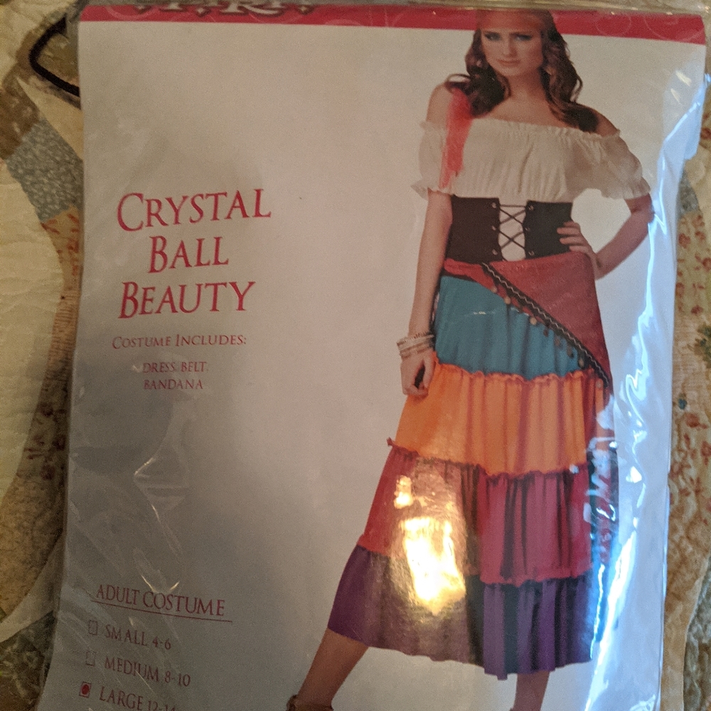 Gypsy Halloween costume